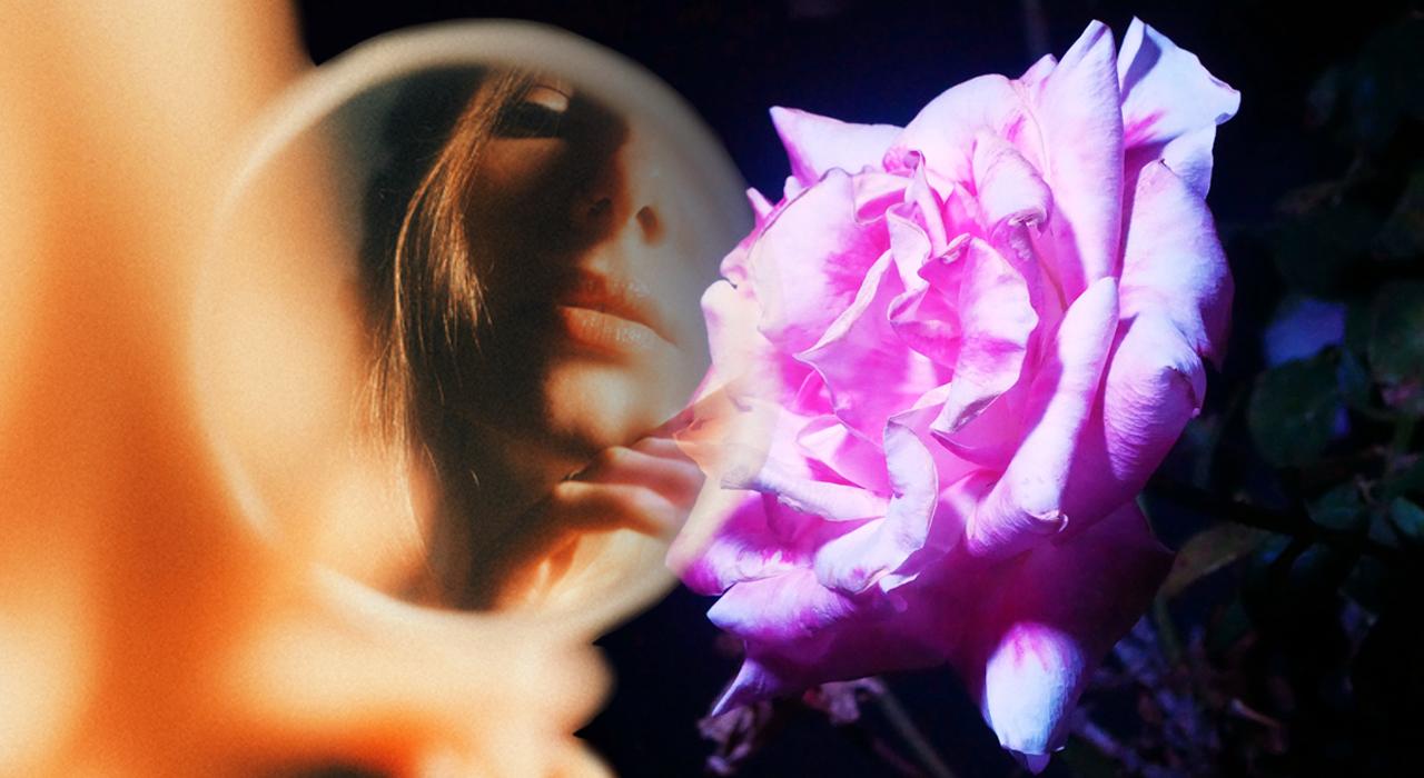 Las cicatrices también florecen – Reseña de «Rosas Color Noche» de Bluma Blair