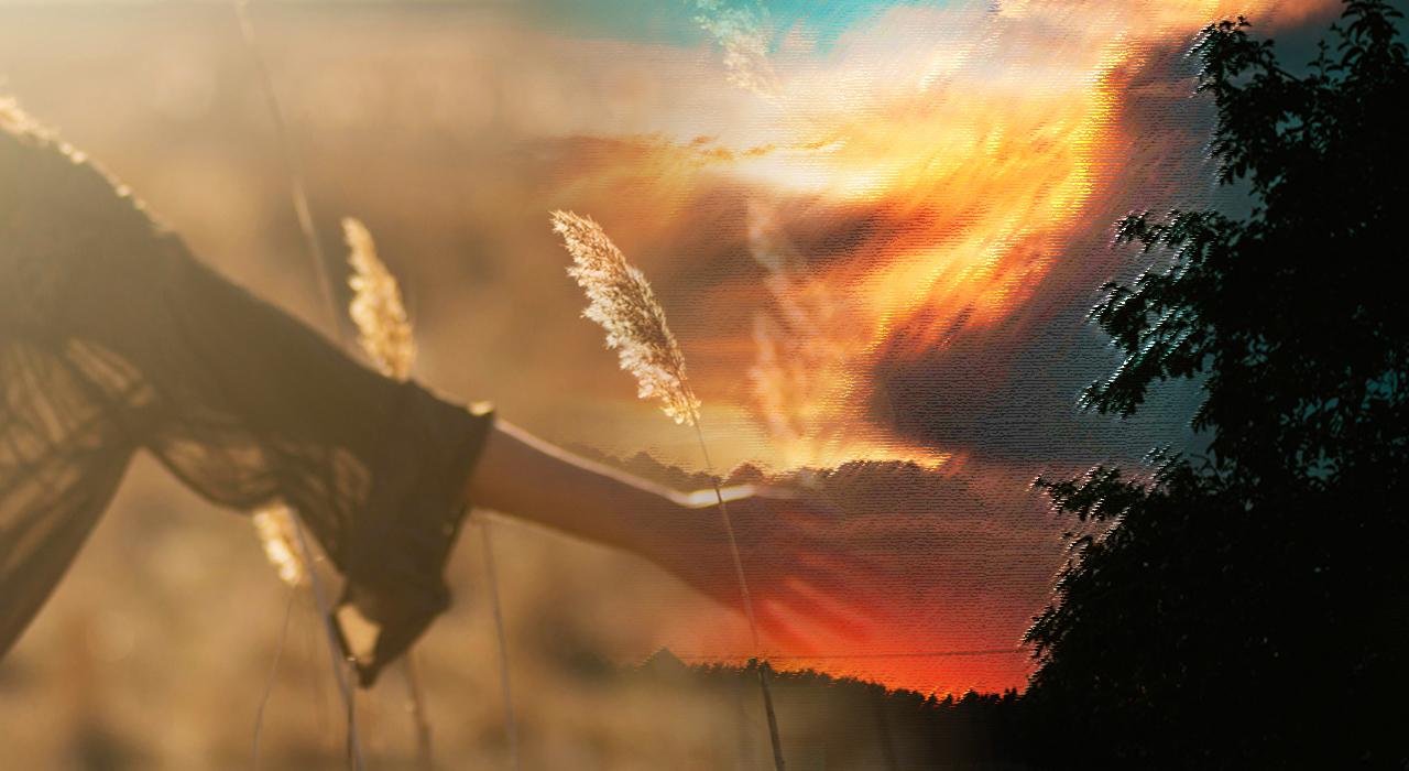 El Sencillo Milagro de la Naturaleza y la Existencia: Emily Dickinson